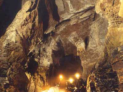 Hamilton New Zealand, Waitomo Caves